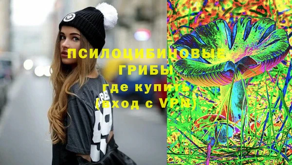 спайс Медвежьегорск
