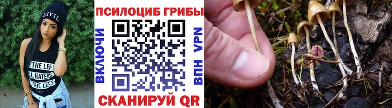Галлюциногенные грибы мицелий  наркота  Грайворон 