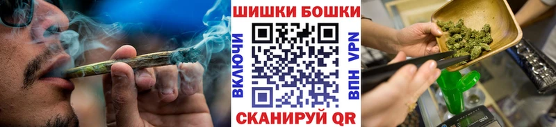 Каннабис White Widow как найти закладки гидра ссылки Грайворон